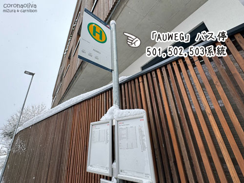 お宿の真ん前にバス停があって便利