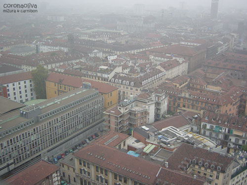 塔から眺めるトリノの街でやんす
