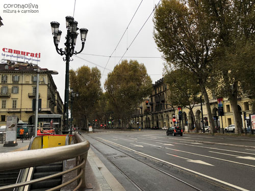 目の前はこんな感じでござんす