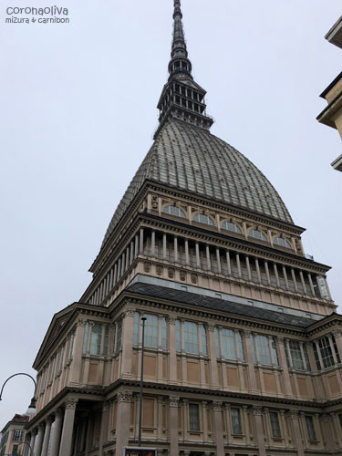 外観はこんなとんがりお屋根の建物でやんす