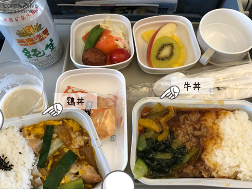 夕方でも割と立派な機内食。ビッラもモツロンお代わりなり