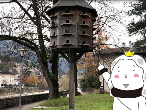 通りがかりの公園にはハトマンションが