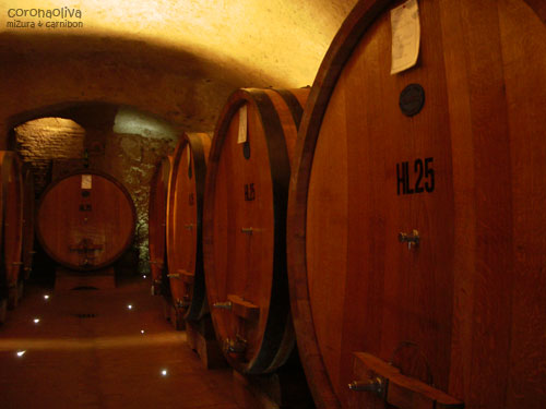 穴ぐら自体は古いが間接照明を地面に埋め込んだりして現代的