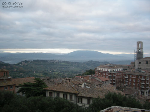 高台から望むと周囲は意外と田舎