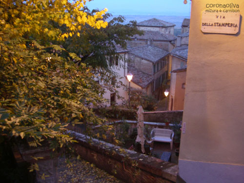 冬のチラホラ街灯がつき始める時間もいとをかし