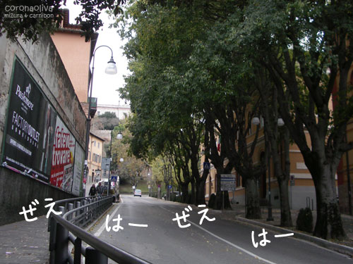 ペルージャの街はsalita e discesa（上りと下り）でできている